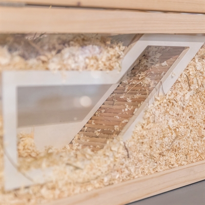TRIXIE OBSERVATIEBOX MUIS / HAMSTER MET TUNNEL ONBEHANDELD HOUT — 36X17 CM — afbeelding 12