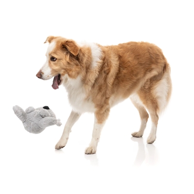 Fuzzyard coco koala (25X15,5X11,5 CM) - Afbeelding 6