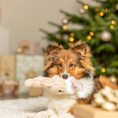 Trixie xmas koekje pluche (22 CM) - Afbeelding 3