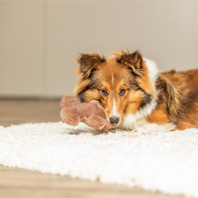 Trixie xmas gemberkoekman met geluid pluche (16 CM) - Afbeelding 3