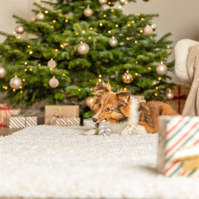 Trixie xmas kerststok latex grijs (10 CM) - Afbeelding 4