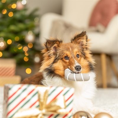 Trixie xmas kerststok latex grijs (10 CM) - Afbeelding 5