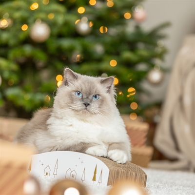 Trixie krabplank karton (43,5X20X8 CM) - Afbeelding 8