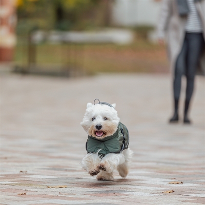 Trixie hondenjas winter explore thermo olijfgroen (55 CM) - Afbeelding 12