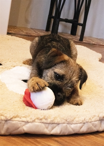 Cupid & comet sandra snowball (6,5X6,5X10 CM) - Afbeelding 3