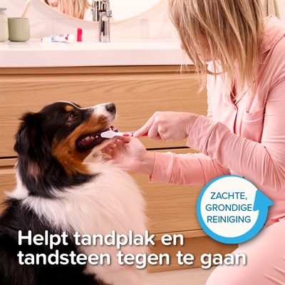 Beaphar tandpasta en borstel combi-pack