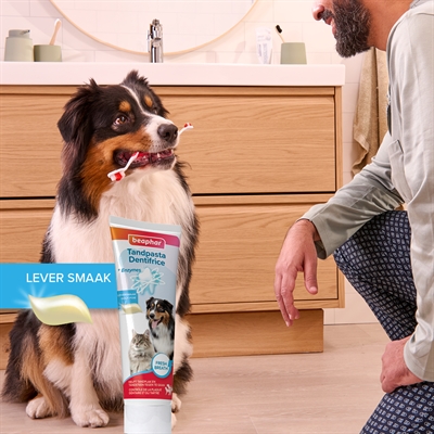 Beaphar tandpasta en borstel combi-pack