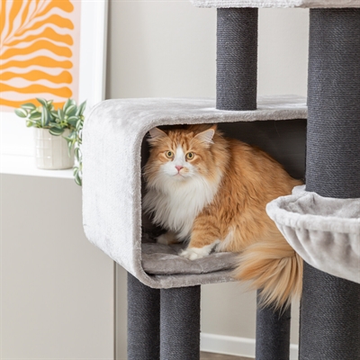 Trixie krabpaal rafael xxl lichtgrijs / donkergrijs (78X58X156 CM) - Afbeelding 8