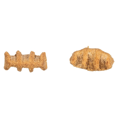 Trixie fish bones met kippenborst en zalm (50 GR) - Afbeelding 4