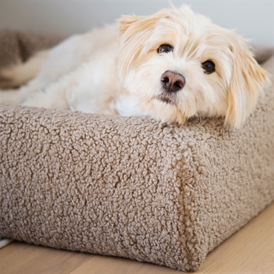 BIA BED PREMIUM HOES TEDDY BEIGE — 100X80X15 CM — afbeelding 2