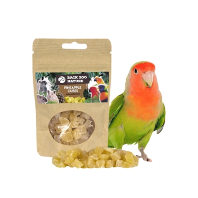BACK ZOO NATURE ANANAS CUBES — 50 GR — afbeelding 2