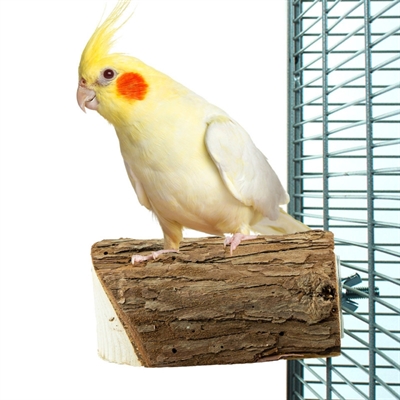 BACK ZOO NATURE WOOD SLICE PERCH — CA. 10X7,5X3 CM — afbeelding 3