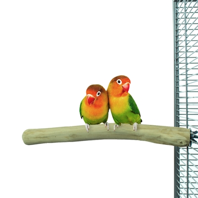 BACK ZOO NATURE JAVA PERCH — CA. 25X1-2,5 CM — afbeelding 2