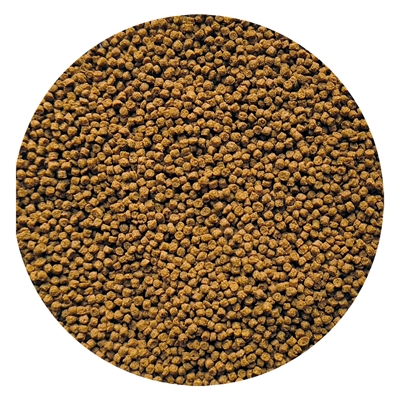 UTOPIA GOUDVISKORREL DRIJVEND — 150 ML