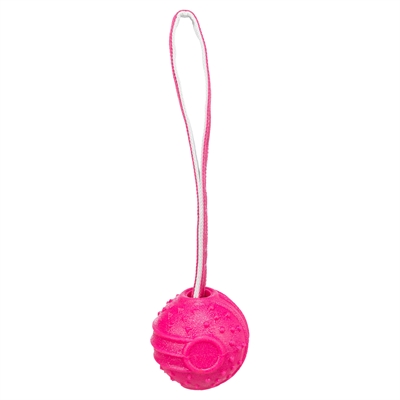 TRIXIE WERPBAL SOFT & STRONG TPR ROZE — 29X7,5X7,5 CM — afbeelding 2