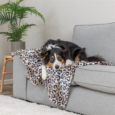 TRIXIE HONDENDEKEN LEO SOFTPLUCHE PANTERPRINT CREME — 150X100 CM — afbeelding 2