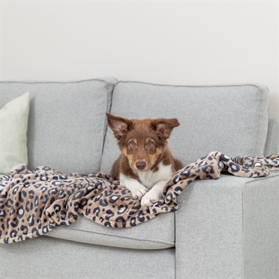 TRIXIE HONDENDEKEN LEO SOFTPLUCHE PANTERPRINT BRUIN — 100X70 CM — afbeelding 2