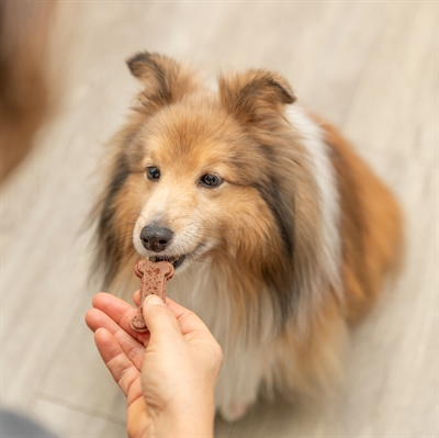 TRIXIE BAKMAT VOOR DIERENSNACKS BOTVORM BPA VRIJ GRIJS — 24X29 CM — afbeelding 8