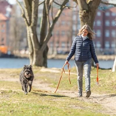 TRIXIE SLEEPLIJN MET RUBBER BEKLEED ZONDER HANDLUS ORANJE — 10 MTRX1,5 CM — afbeelding 4