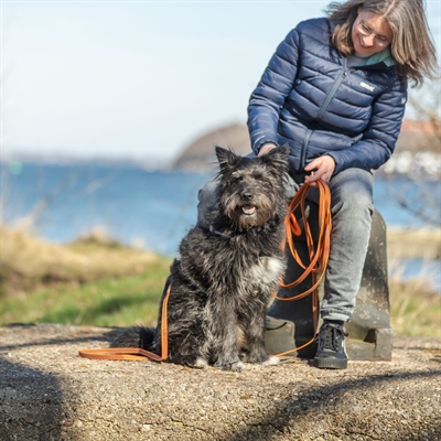 TRIXIE SLEEPLIJN MET RUBBER BEKLEED ZONDER HANDLUS ORANJE — 15 MTRX1,5 CM