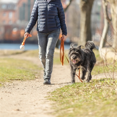 TRIXIE SLEEPLIJN MET RUBBER BEKLEED ZONDER HANDLUS ORANJE — 15 MTRX1,5 CM — afbeelding 2