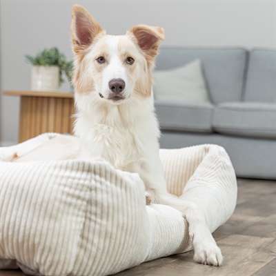 TRIXIE VITAL HONDENMAND JONNA HOEKIG RIBFLUWEEL CREME — 80X60 CM — afbeelding 8
