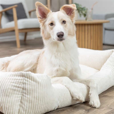 TRIXIE VITAL HONDENMAND JONNA HOEKIG RIBFLUWEEL CREME — 120X80 CM — afbeelding 7