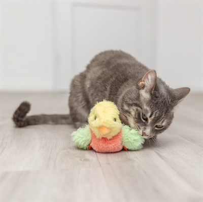 Trixie spartel vogel pluche - Afbeelding 6