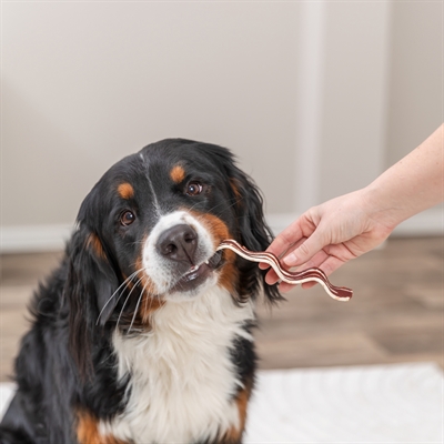 Trixie premio bacon strips met eendenborst en rundvlees (80 GR) - Afbeelding 10