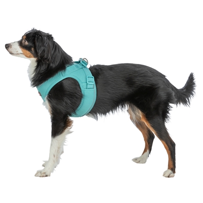 TRIXIE HONDENTUIG URBANVEST MESH AQUA — 31-34X1,5 CM - XXS — afbeelding 3