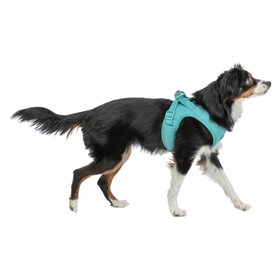 TRIXIE HONDENTUIG URBANVEST MESH AQUA — 31-34X1,5 CM - XXS — afbeelding 4