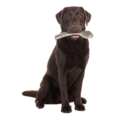 Zolux hertengewei doorgesneden easy (L BOVEN 25 KG) - Afbeelding 5