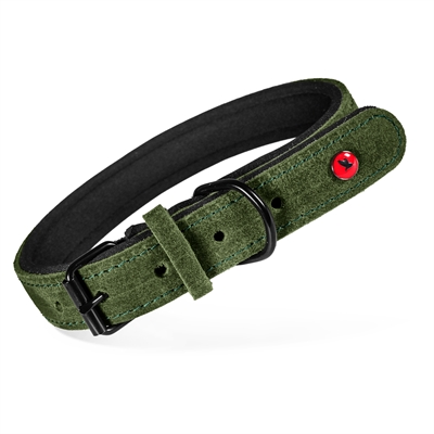 Zolux expert halsband hond premium leer / neopreen groen (40X1,6 CM)
