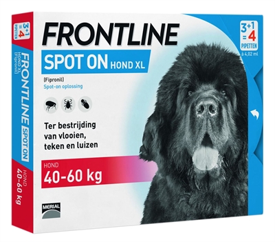 FRONTLINE