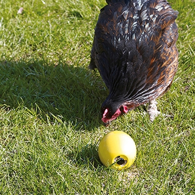 SAVIC KIPPENSPEELTJE CHICKEN FUN — 7,5X8 CM — afbeelding 2